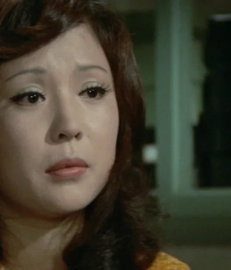 Возвращение сестры уличного бойца (1975)