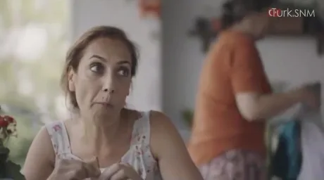 Залив (2017)